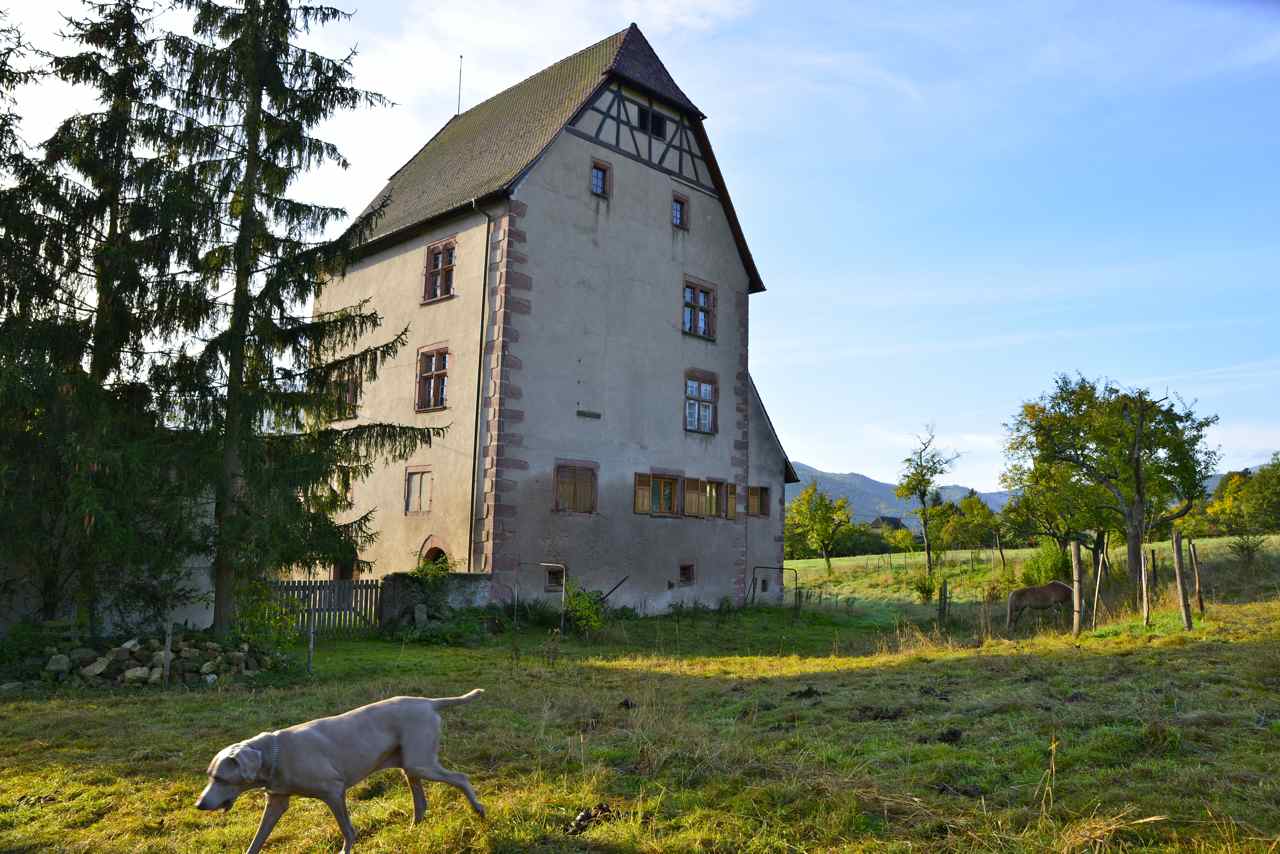 Walbach